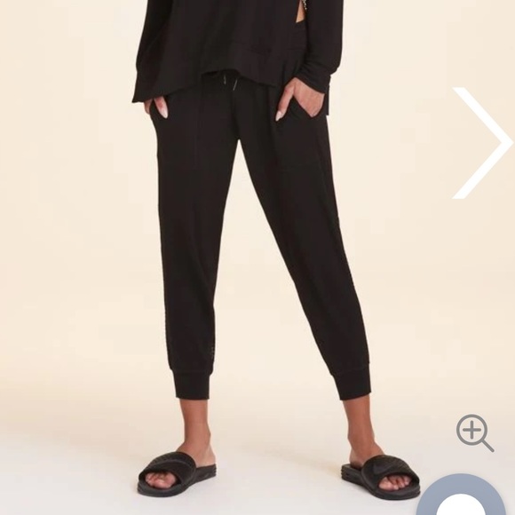 ❌SOLD❌ ALALA HERON JOGGER - BNWT! - Picture 6 of 10